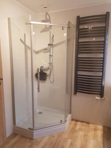 eine Glasduschkabine in einem Badezimmer mit Fenster in der Unterkunft Willa Sandra in Szczawnica