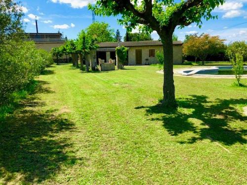 a green yard with a tree and a house at Cal Soi in Lleida