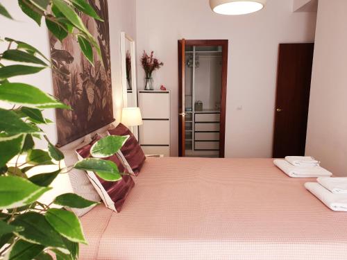 ヘレス・デ・ラ・フロンテーラにあるSherryflat Paralejo 10 - Parkingのベッドルーム1室(ベッド1台、植物付)