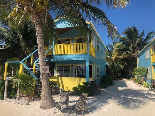 a yellow and blue house on the beach with palm trees at Colinda Cabanas in Caye Caulker