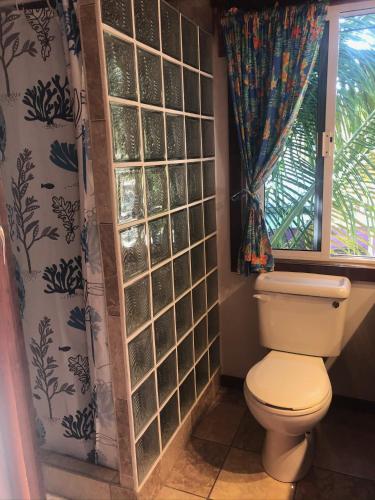 a bathroom with a toilet and a window at Colinda Cabanas in Caye Caulker