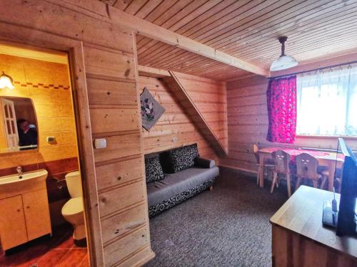 a living room with a couch in a log cabin at Apartamenty Stasikowa Chata in Białka Tatrzańska