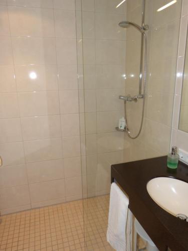 a bathroom with a sink and a shower at Hotel Evering in Emsbüren
