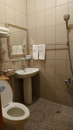 a bathroom with a toilet and a sink and a mirror at 儷池2房2-5人包棟 民宿編號1882 in Chishang