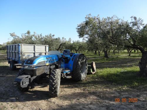 a blue tractor parked in a field next to a tree at Agriturismo Fieri in Botricello