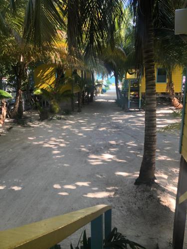 a bench sitting on a street with palm trees at Colinda Cabanas in Caye Caulker