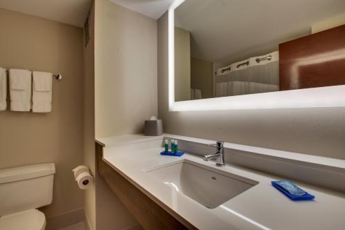 a bathroom with a sink and a mirror at Holiday Inn Express - Horse Cave, an IHG Hotel in Horse Cave