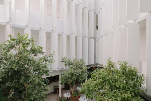a row of trees in a building with white walls at Condesa df, Mexico City, a Member of Design Hotels in Mexico City