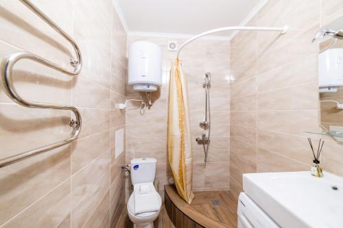 a small bathroom with a toilet and a sink at Затишні смарт-квартири в історичному центрі! in Uzhhorod