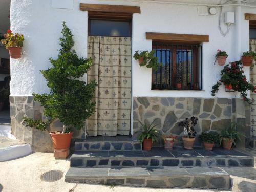 een huis met potplanten op de trap bij Casa rural el Mirador in Trevélez