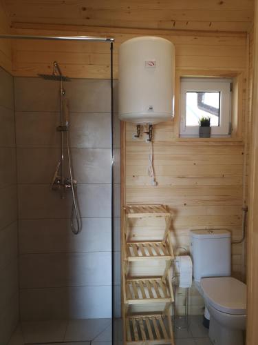 a small bathroom with a toilet and a window at MARWIKOWE Domki Wypoczynkowe in Sieraków