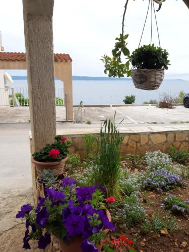 un jardin avec des fleurs en pots sur un poteau dans l'établissement Villa Kovačević, à Trogir