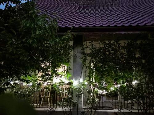 a house with chairs and a purple roof at Casa File de Poveste in Târgu Jiu