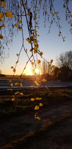 a sunset in a field with the sun setting at Ferienwohnung Thees in Ummanz