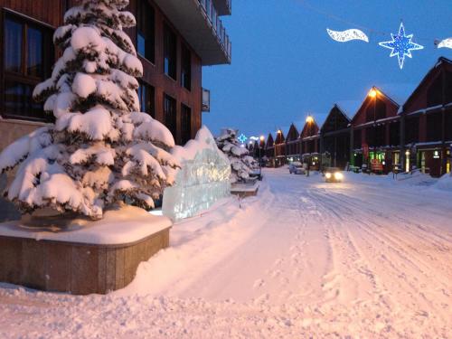 Gallery image of Hotel Cristallo in Sestriere