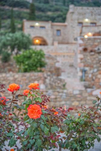 a bush with orange flowers in front of a building at Brazzo di Maina in Oítilon