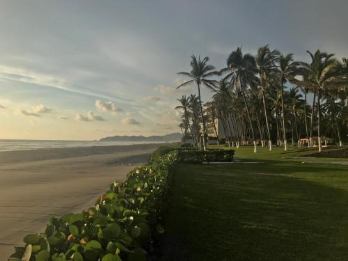 a row of plants on the beach with palm trees at Villas San Vicente in Acapulco