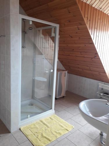 a bathroom with a shower and a sink at Ferienwohnung Wilke in Lübbenau
