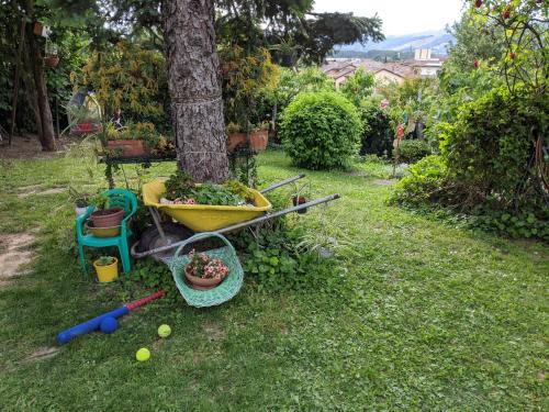 a tree with a yellow tub and some plants in a yard at Nel giardino di Oz in Fornovo di Taro