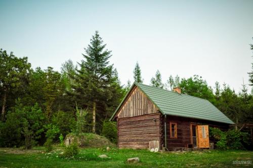 una cabina in legno con tetto verde in un campo di Domek z bali Roztocze a Sieniawa