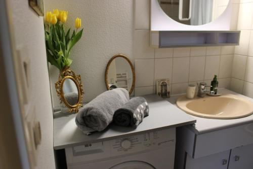 un bagno con lavandino e asciugamani su un bancone di Le Garden Victoria - Canal & Cathédrale -30m2 & Garden a Nancy