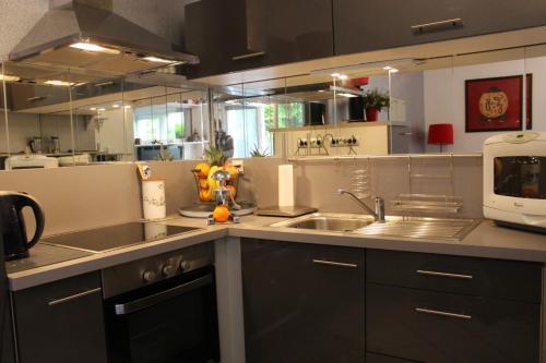 une cuisine avec un évier et un plan de travail dans l'établissement Le Garden Victoria - Canal & Cathédrale -30m2 & Garden, à Nancy