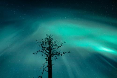 Gallery image of Lapland Hotels Hetta in Enontekiö