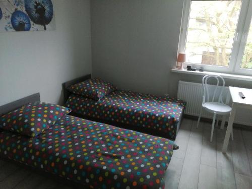 a room with two beds and a table and a window at Apartamenty Przy Rynku in Żnin