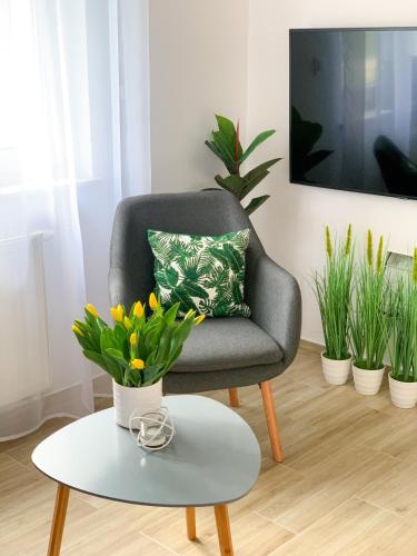 365PAM - Apartament Słoneczny Mielno