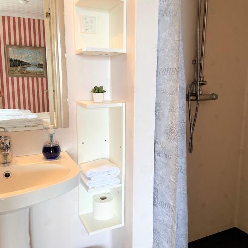 a bathroom with a sink and a toilet and a shower at STF Jädraås Herrgård in Jädraås