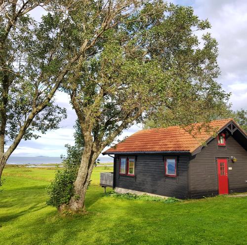 a small house with a red door next to a tree at Marmelkroken AS in Risøyhamn