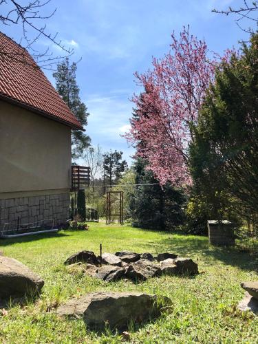 a yard with rocks in the grass next to a building at Chata se zahradou in Týnec nad Labem