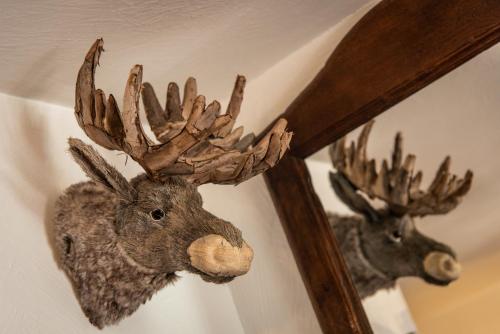 a fake moose head hanging on a wall at Club Alpina - Champagny-en-Vanoise in Champagny-en-Vanoise