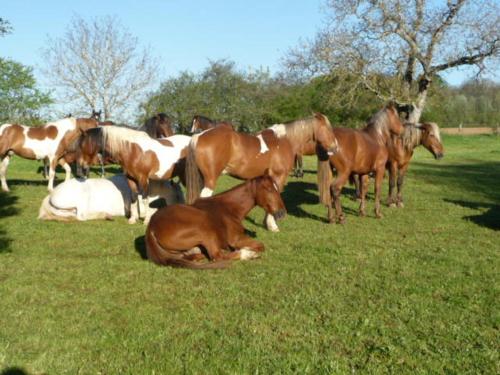 Grancey-le-ChâteauにあるLa grangeのギャラリーの写真