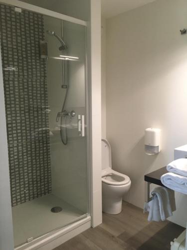 a bathroom with a shower and a toilet at La Roselière in Saint-Quentin-Fallavier