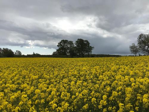 Billede fra billedgalleriet på Mellby 11 Bed & Breakfast i Kivik