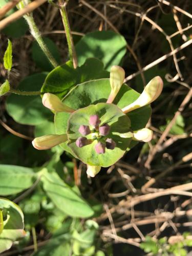 Billede fra billedgalleriet på Mellby 11 Bed & Breakfast i Kivik