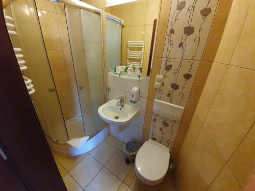 a bathroom with a shower and a toilet and a sink at Hotel Gniecki Gdansk in Przejazdowo