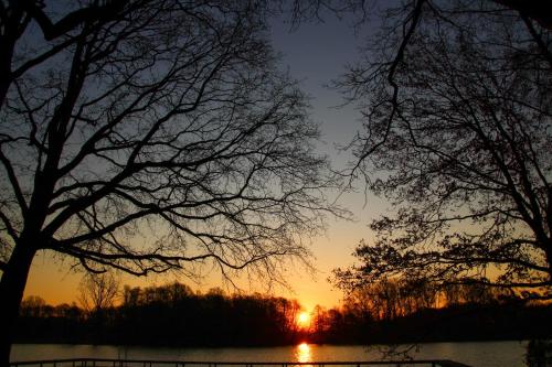 a sunset over a body of water with trees at Ferienwohnung Auf der Blumenstrasse in Nettetal