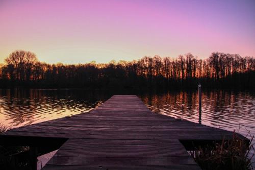 a wooden dock in the middle of a lake at Ferienwohnung Auf der Blumenstrasse in Nettetal