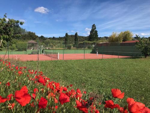 Tenis dan/atau kemudahan skuasy di Les Piégonnaises - Deux luxueuses roulottes et la cabane en Drôme Provençale atau berdekatan
