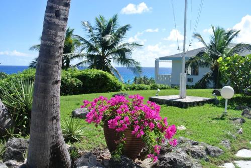a basket filled with pink flowers next to a tree at Stella Maris Resort Club in Stella Maris