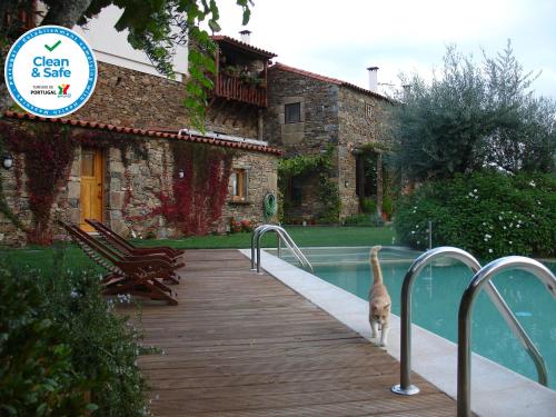 a cat walking on a wooden walkway next to a pool at Bairro do Casal - Turismo d'Aldeia in Vila Nova de Foz Coa