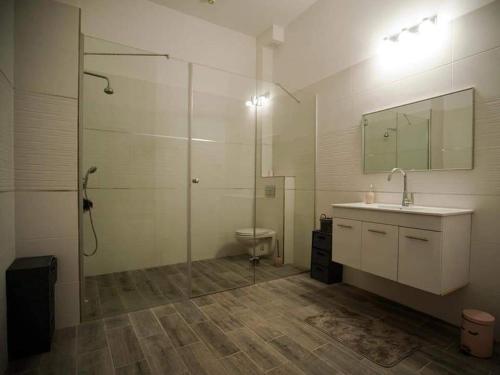 Un baño con ducha, lavabo e inodoro. en VIP Pentathoses Eilat, en Eilat
