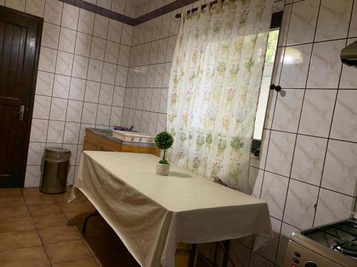 Kúpeľňa v ubytovaní Vila Sofia