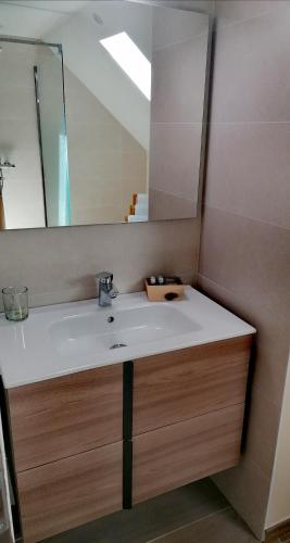 a bathroom with a sink and a mirror at Les chambres de la Cotinière - Bord de Saône - St Jean de Losne in Saint-Jean-de-Losne
