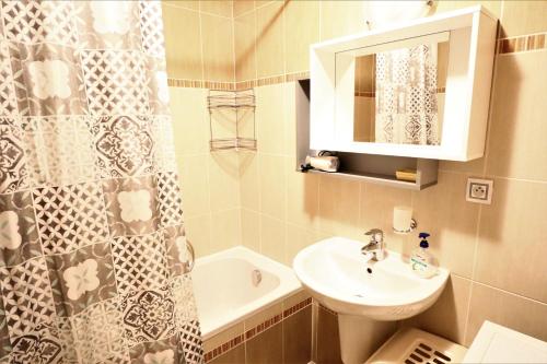 ein Badezimmer mit Waschbecken und Duschvorhang in der Unterkunft Apartment Fox in Karlsbad