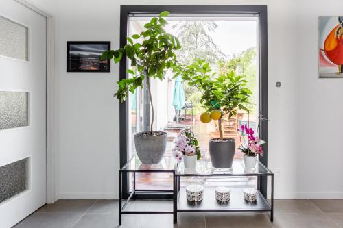 a living room with plants on a glass table at Villa Géna in Saint-Médard-dʼEyrans