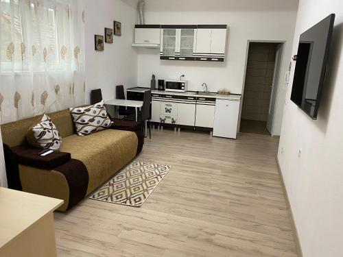 a living room with a couch and a kitchen at CentralHome Ap1 in Sighişoara