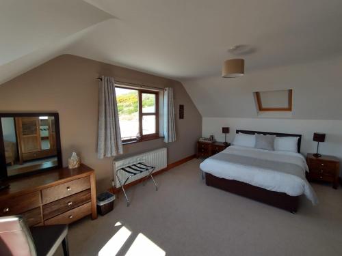 a bedroom with a large bed and a television at Inishowen Lodge B&B in Moville